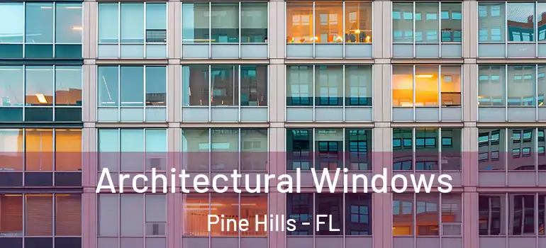  Architectural Windows Pine Hills - FL