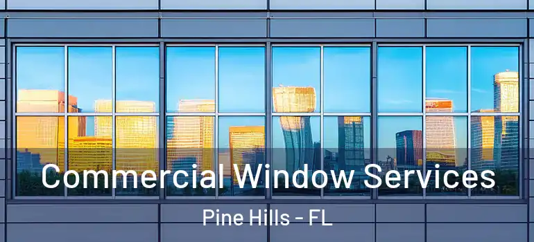  Commercial Window Services Pine Hills - FL
