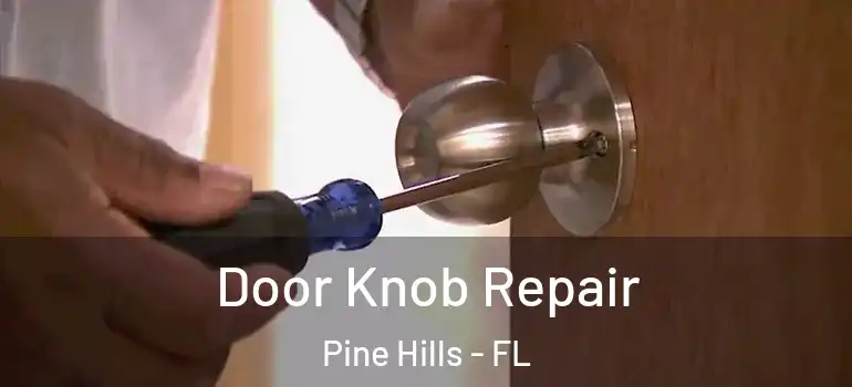  Door Knob Repair Pine Hills - FL