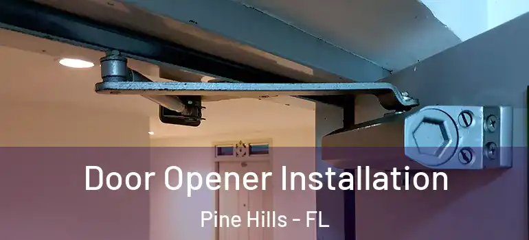  Door Opener Installation Pine Hills - FL
