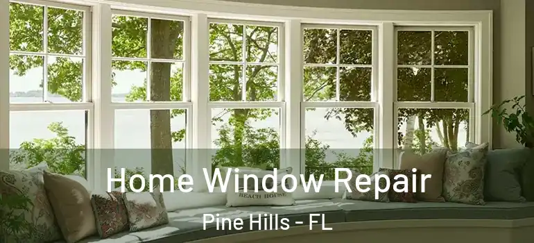  Home Window Repair Pine Hills - FL