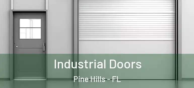  Industrial Doors Pine Hills - FL