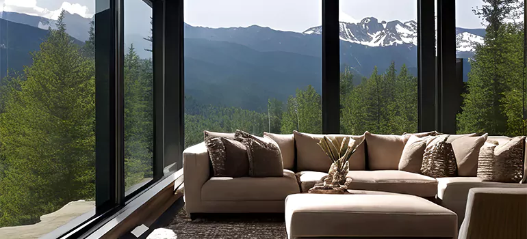 Picture Window Maintenance in Pine Hills, FL