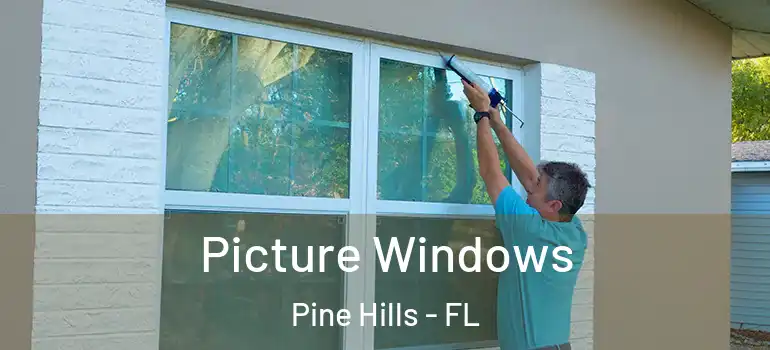  Picture Windows Pine Hills - FL