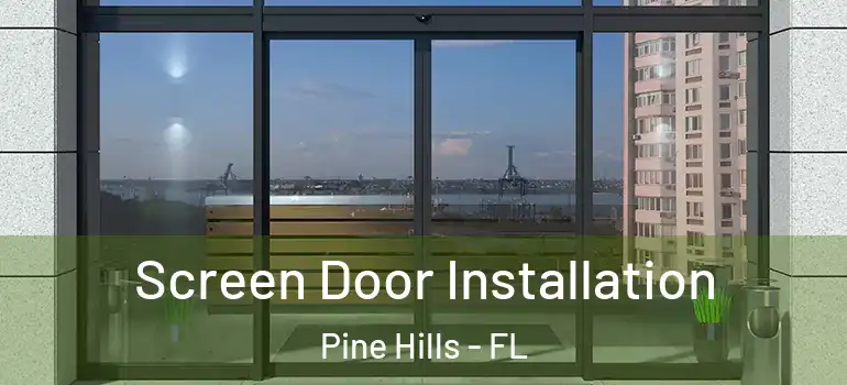  Screen Door Installation Pine Hills - FL