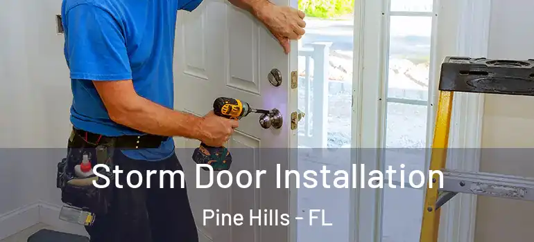  Storm Door Installation Pine Hills - FL