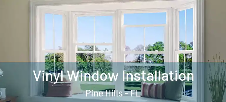  Vinyl Window Installation Pine Hills - FL