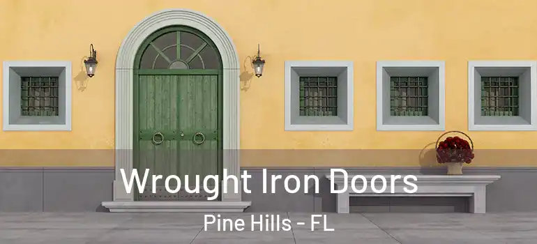  Wrought Iron Doors Pine Hills - FL